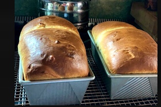 Bread Bakers: Japanese Milk Bread